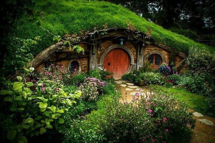 Private Luxury Day Tour from Auckland to Hobbiton & Rotorua for Couples photo 4