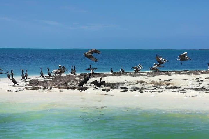 3 Islands Snorkel: Isla Blanca, Contoy & Isla Mujeres Boat Tour from Cancún photo 2