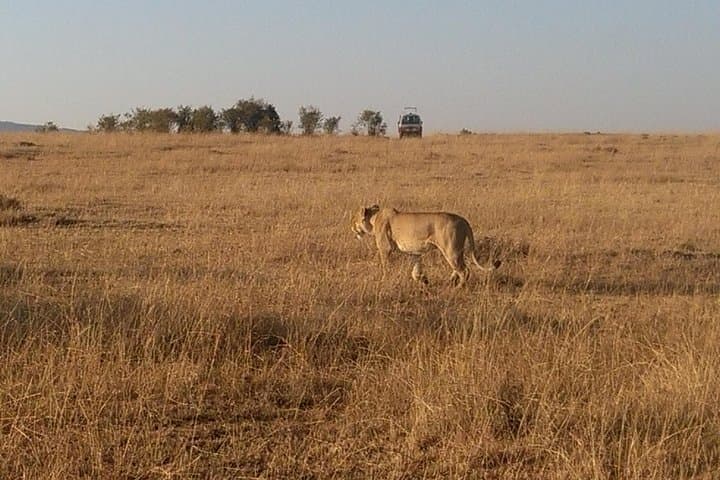 4-Day Amboseli and Naivasha Safari: Elephants, Kilimanjaro Views & Hells Gate photo 2