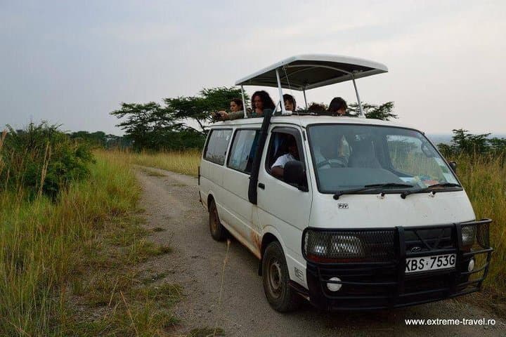 Exploring Nairobi National Park: A 4-Hour Safari Adventure on the City’s Edge photo 4
