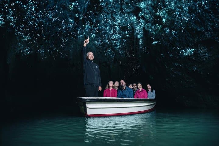 Waitomo Glowworm Caves & Sanctuary Mountain Ancient Forest Day Tour from Auckland