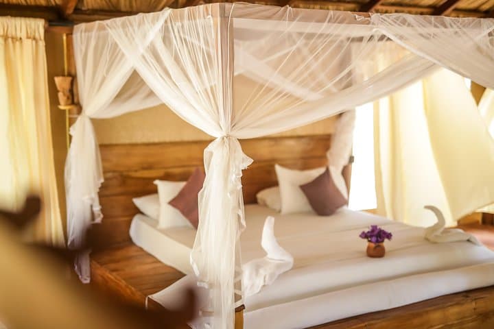 Overnight Luxury Glamping & Leopard Safari in Yala National Park photo 5
