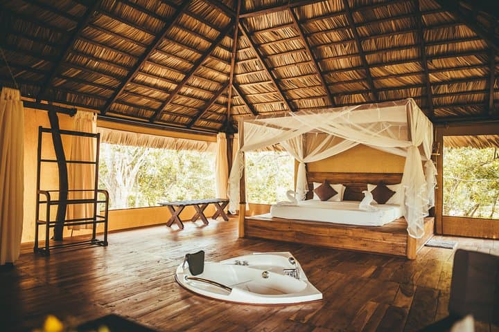 Overnight Luxury Glamping & Leopard Safari in Yala National Park