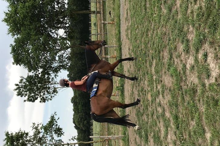 Half-Day Riding Course Near Lyon — Lessons, Trails & Gallop Prep photo 4