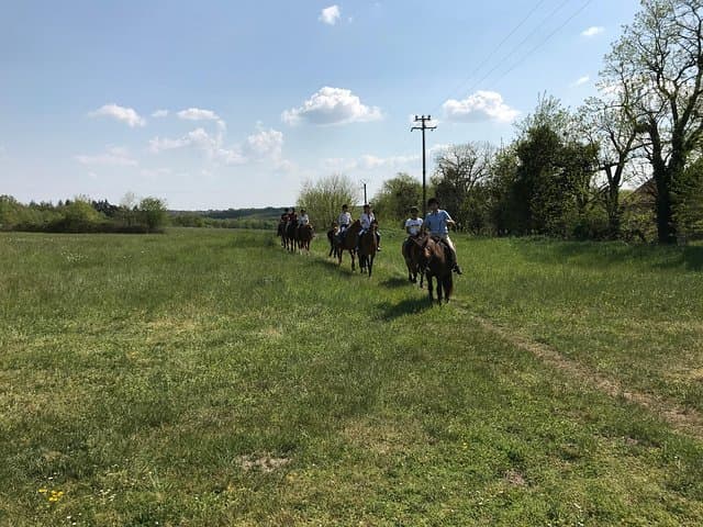 Half-Day Riding Course Near Lyon — Lessons, Trails & Gallop Prep photo 5