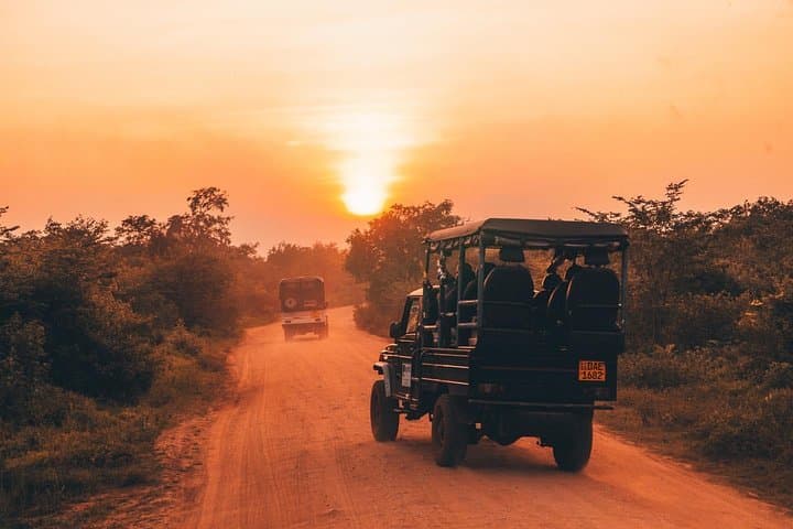Sri Lanka 8-Day Budget Tour: Sigiriya, Kandy, Ella, Yala & Mirissa photo 3