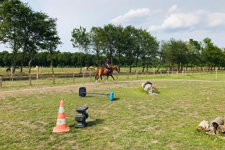 Half-Day Riding Course Near Lyon — Lessons, Trails & Gallop Prep
