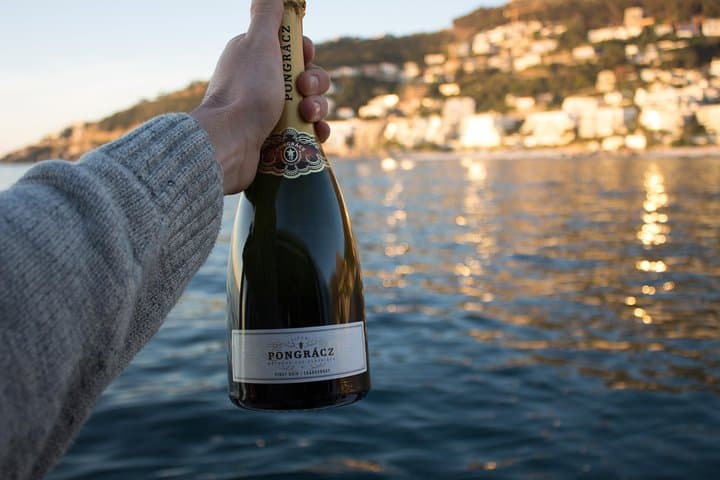 Cape Town Sunset & Champagne Cruise on Tigger 2 — Clifton to Table Bay photo 5
