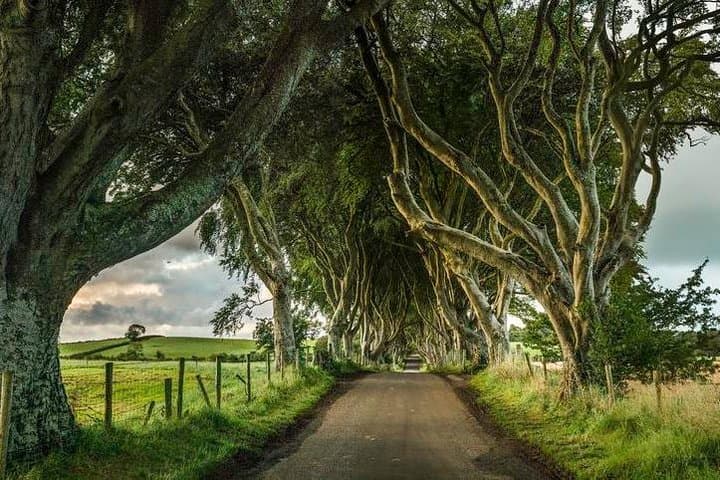 Giant's Causeway Day Tour from Dublin — Causeway, Dark Hedges, Dunluce & Belfast photo 6