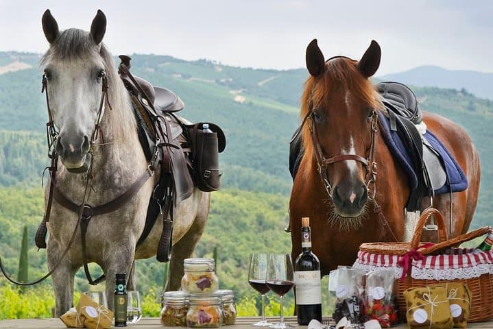 Horseback and Wine in Tuscany: Full-Day Ride to Dievole and Chianti Tasting