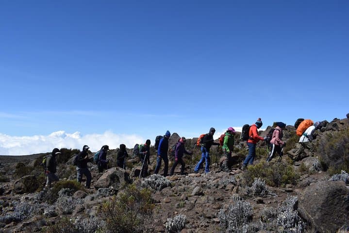 Marangu Route Kilimanjaro Trek: 6–7 Day Classic Ascent to Uhuru Peak photo 5