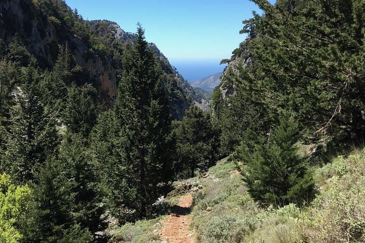 Fygou & Agia Irini Gorge Loop: Half-Day Hike from Omalos photo 2
