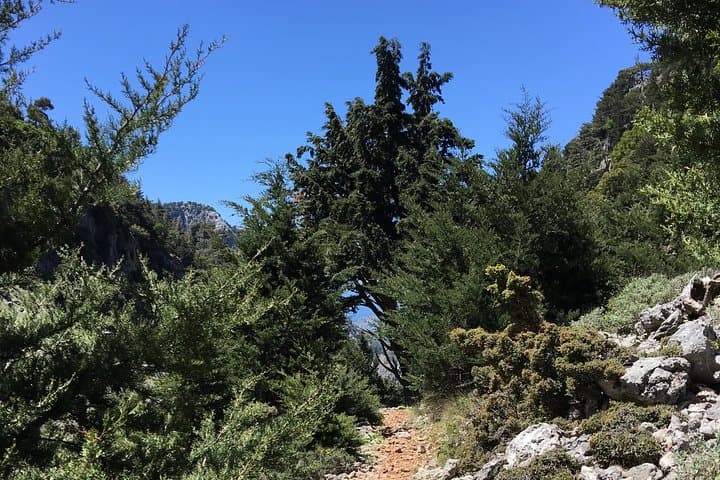 Fygou & Agia Irini Gorge Loop: Half-Day Hike from Omalos photo 4