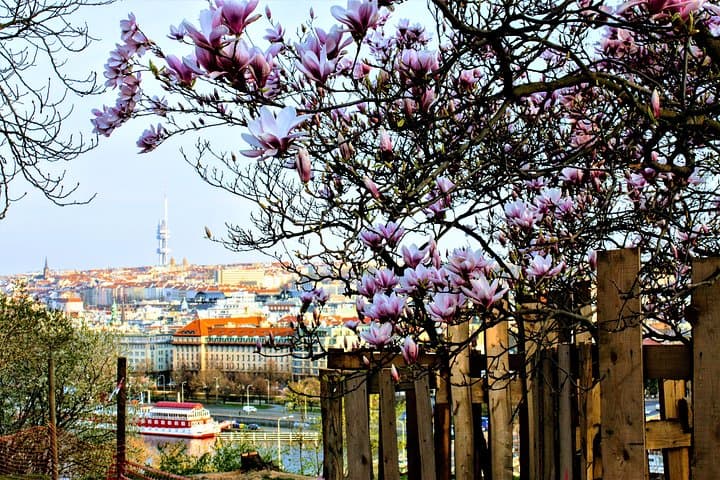 Self-Guided Prague City Game — Petrin Views & Park Walks photo 5
