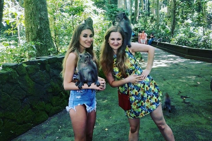 Exploring Ubud: Monkey Forest, Tegallalang Rice Terraces & Temple Rituals photo 2