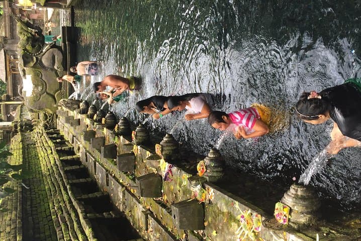 Exploring Ubud: Monkey Forest, Tegallalang Rice Terraces & Temple Rituals photo 4