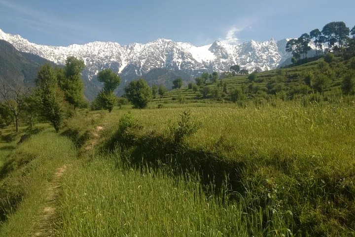 7-Day Dharamsala Dalai Lama Home Trek: Triund, Kareri & Kunal Pathri photo 2