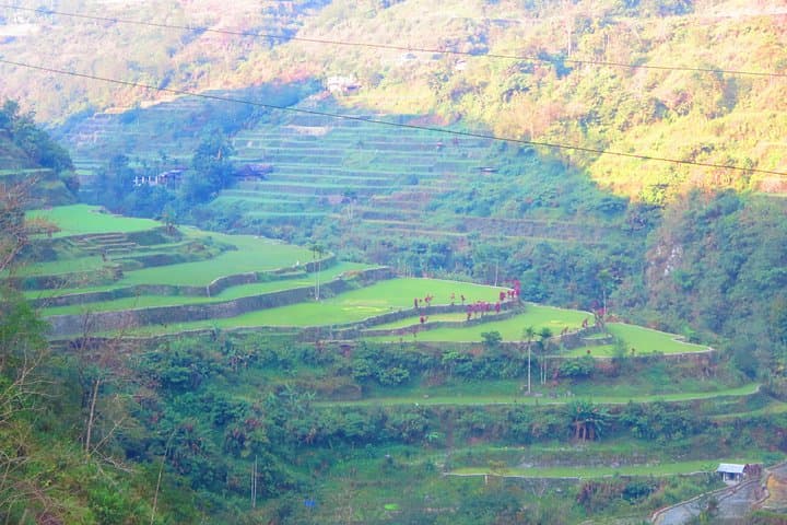 Banaue to Sagada: 7-Day Rice Terrace Trek & Waterfall Adventure from Manila