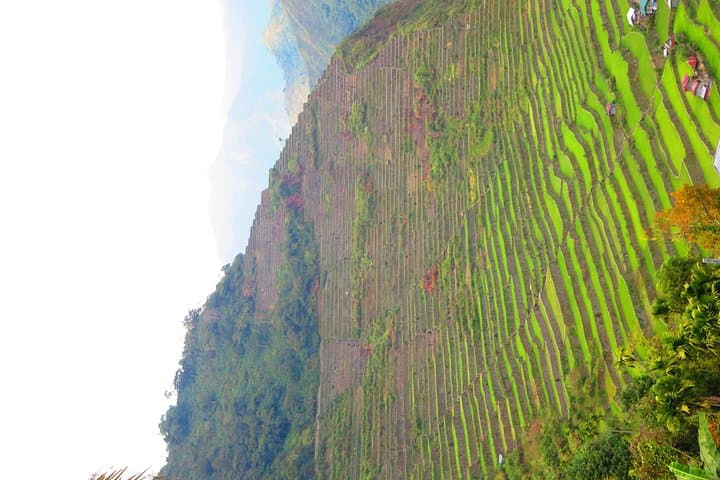 Banaue to Sagada: 7-Day Rice Terrace Trek & Waterfall Adventure from Manila photo 3