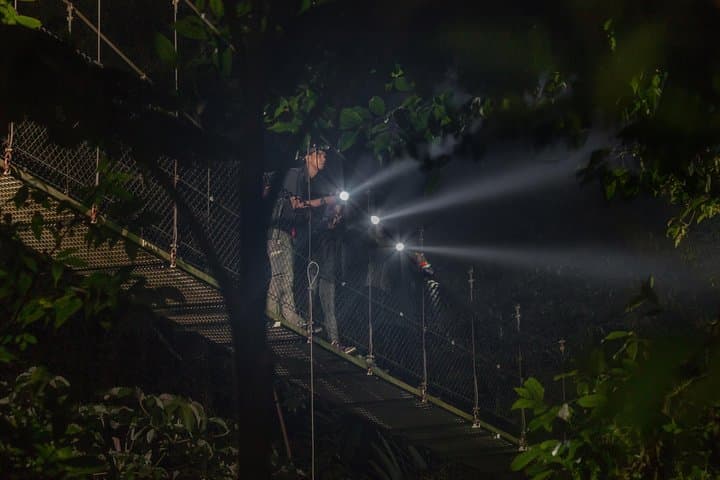 Nocturnal Walk on the Mistico Hanging Bridges — La Fortuna Night Rainforest Tour photo 2