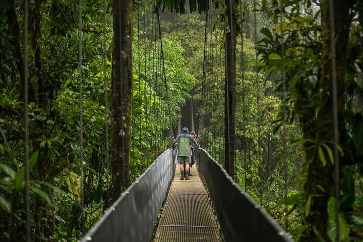 Arenal Hanging Bridges and La Fortuna Waterfall: Half-Day Rainforest Walk with Lunch photo 5