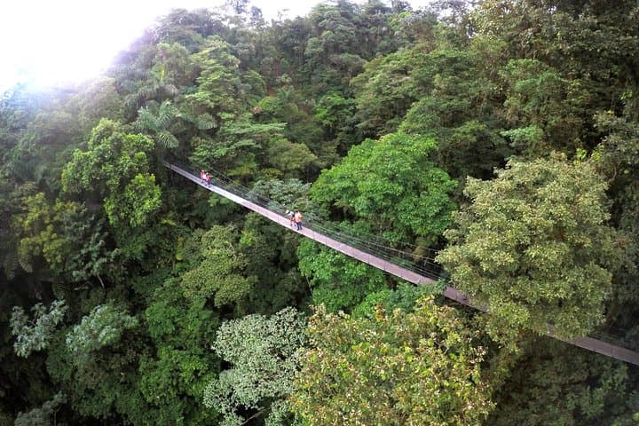 Arenal Volcano Hanging Bridges and Private Sloth Encounter Tour photo 2