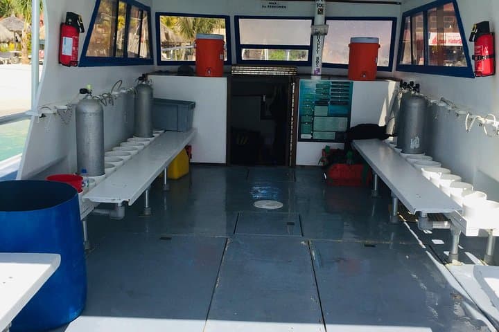 Aruba Certified Scuba Diving: Boat Dives to Reefs & the Antilla Wreck photo 6