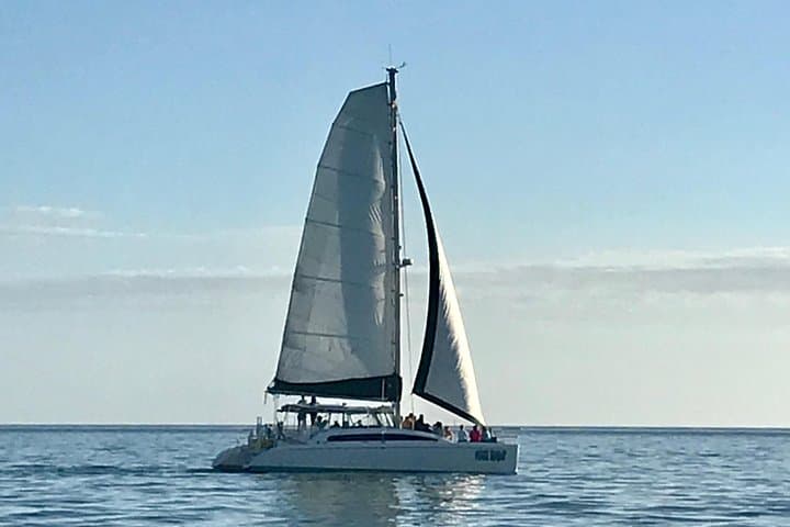 Naples Sunset Catamaran Cruise: Cool Beans Day Sail & Champagne Sunset photo 4