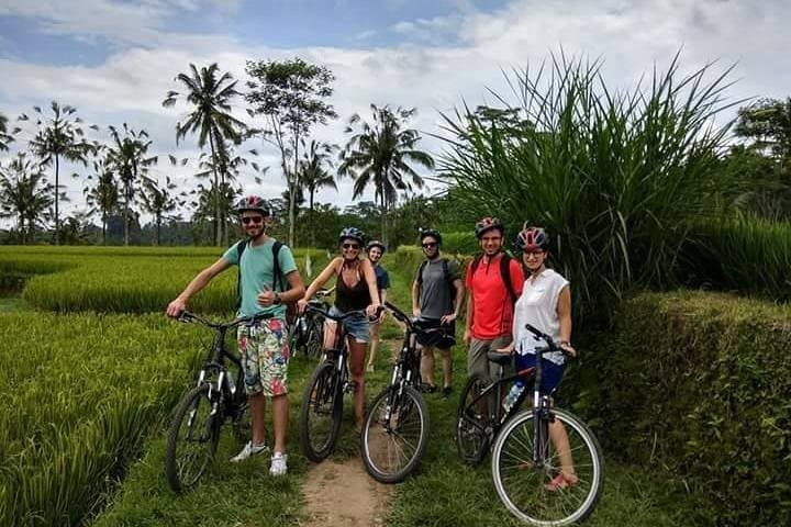 Bali Downhill Bike Tour from Ubud — Rice Terraces, Temples & Kintamani