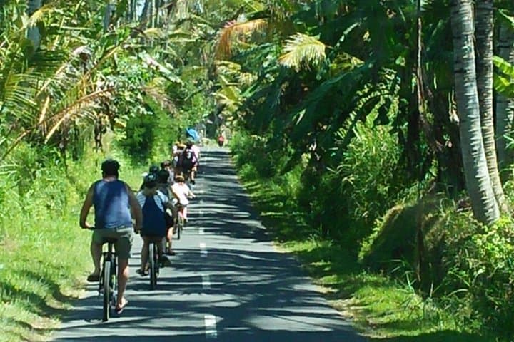 Bali Downhill Bike Tour from Ubud — Rice Terraces, Temples & Kintamani photo 5
