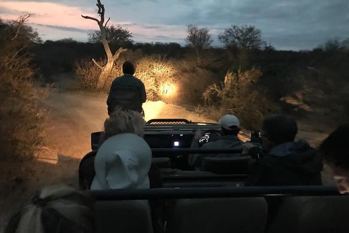 Private Night Drive in Yala National Park Buffer Zone — Nocturnal Wildlife Safari photo 1