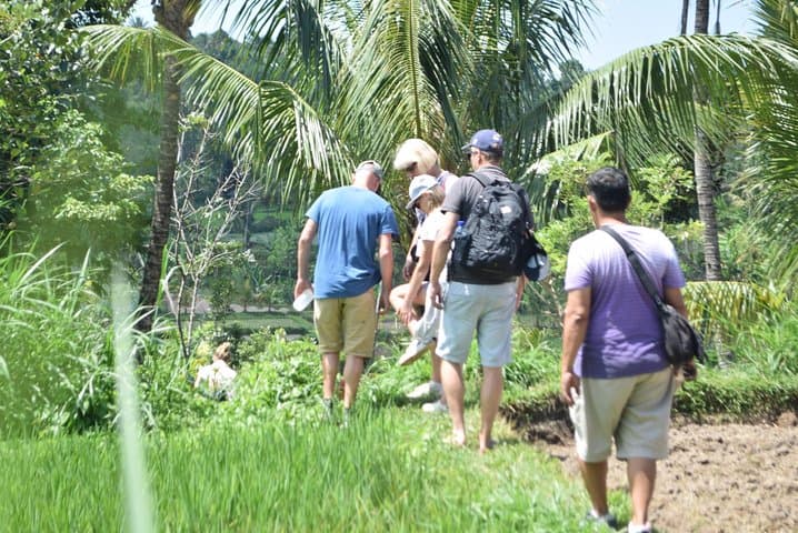 Tetebatu Walking Tour: Rice Terraces, Waterfalls & Monkey Forest on Lombok