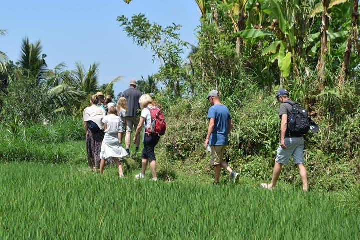 Tetebatu Walking Tour: Rice Terraces, Waterfalls & Monkey Forest on Lombok photo 3