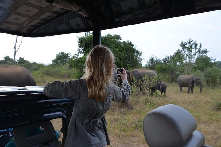 Udawalawe National Park Half‑Day Game Drive — Elephant Safari Near the Reservoir photo 3