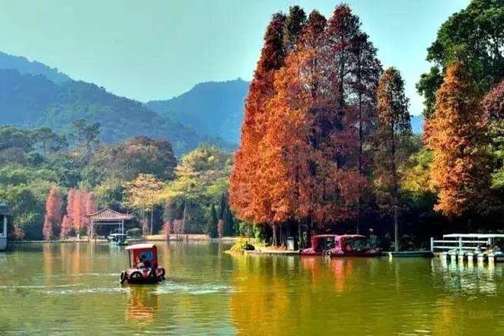 Guangzhou Baiyun Mountain Layover Tour with Dim Sum — Cable Car, Gardens & Temple photo 5