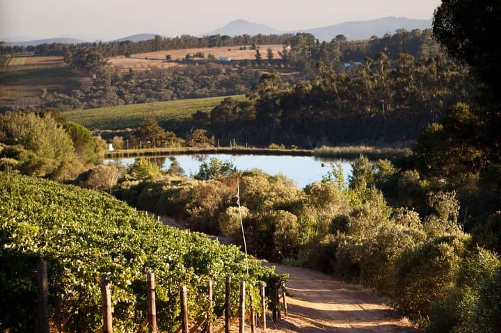 Private Stellenbosch, Franschhoek & Paarl Wine Tour: Day Trip from Cape Town photo 4