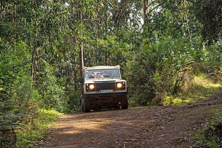 Amazing West Jeep Safari: Full-Day Madeira Off-Road & Lava Pools photo 4