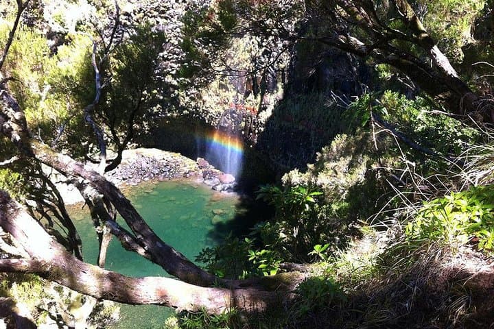 Rabacal Levada Walk to 25 Fontes and Risco Waterfall, Madeira