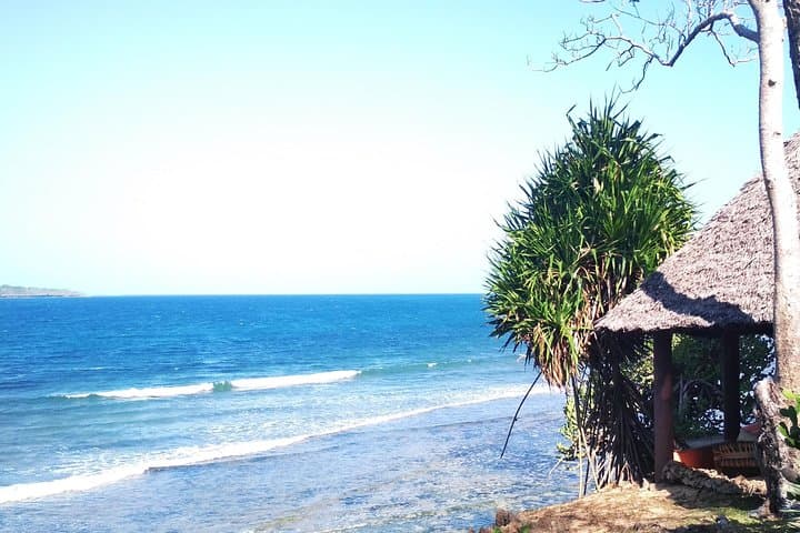 Snorkel Kisite Marine Park: Dhow Safari & Wasini Island Seafood Lunch from Diani photo 4