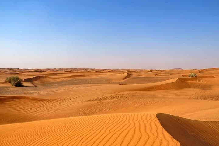Dubai Desert Safari: Dune Bashing, Camel Rides & Sunset BBQ Experience photo 3