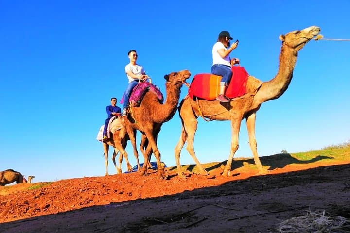 Atlas Mountains & 4 Valleys Day Trip with Camel Ride from Marrakech photo 2