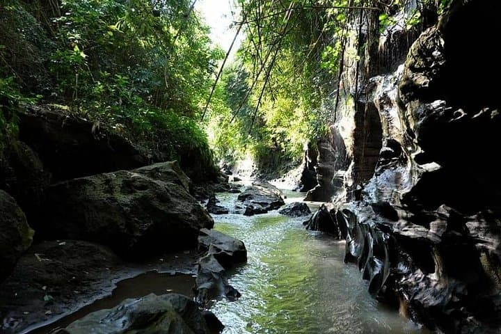 Hidden Canyon Beji Guwang: 2–3 Hour Guided Canyon Walk Near Ubud photo 3