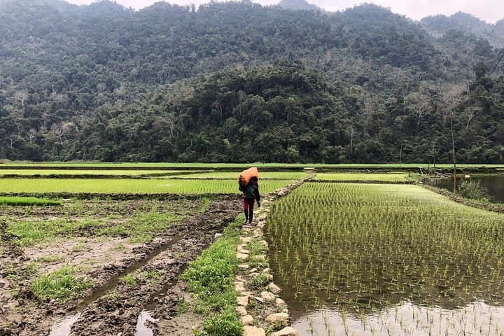 3-Day Ban Gioc Waterfall & Ba Be Lake Adventure from Hanoi photo 5