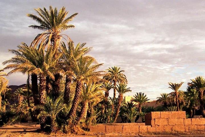 2-Day Sahara Experience: Marrakech to Zagora Camel Trek & Nomad Camp photo 5