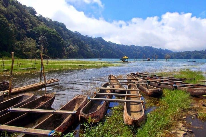Jungle Trekking and Tamblingan Lake Canoe Tour — Bali Private Day Trip photo 4