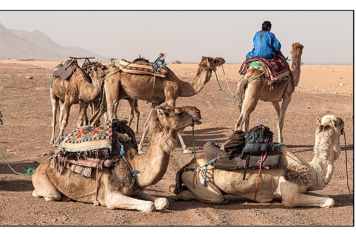 2-Day Sahara Experience: Marrakech to Zagora Camel Trek & Nomad Camp photo 6