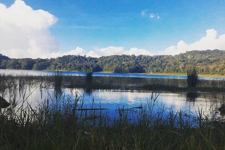Munduk Waterfalls Trekking Tour: A Full-Day Private Trek to Three Falls, Rice Fields & Coffee Plantations photo 3