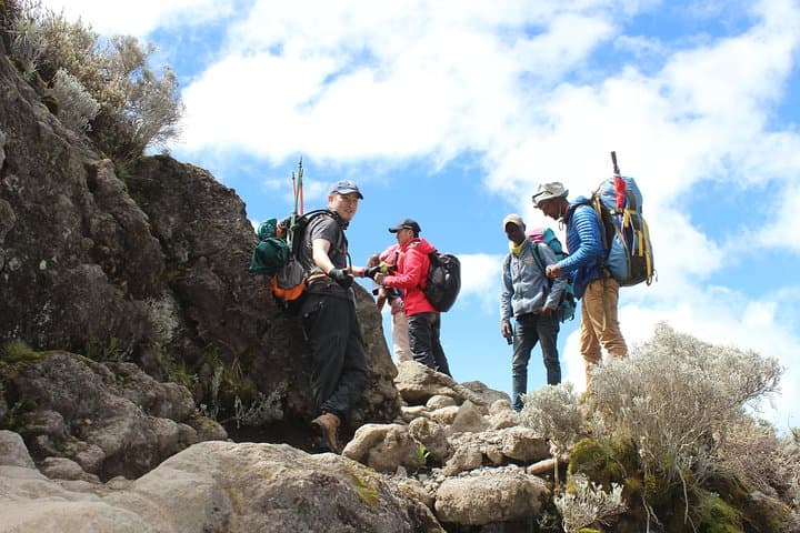 Kilimanjaro Machame Route: 6-Day Summit Trek from Machame Gate to Uhuru Peak