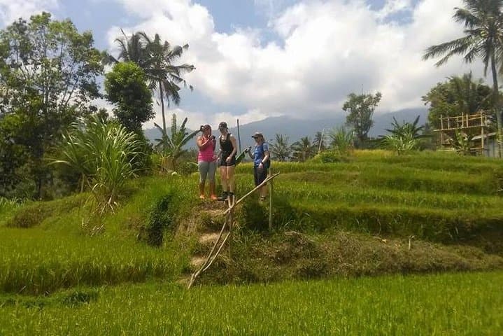 Munduk Waterfalls Trekking Tour: A Full-Day Private Trek to Three Falls, Rice Fields & Coffee Plantations photo 6