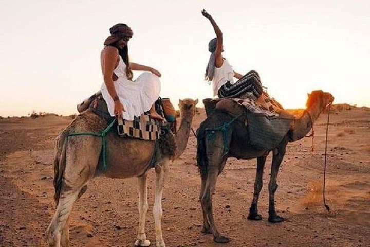 Camel Riding in Agadir: Eucalyptus Trails and Souss River Dune Rides photo 2